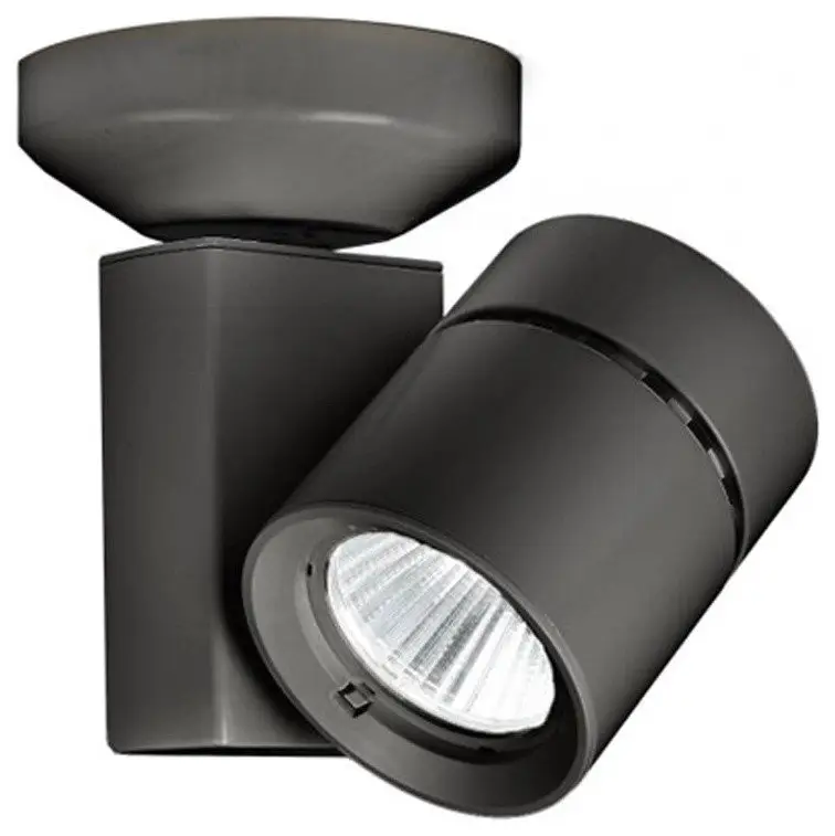 W.A.C. Lighting Exterminator II LED Spot Light MO-1023F-930-BK